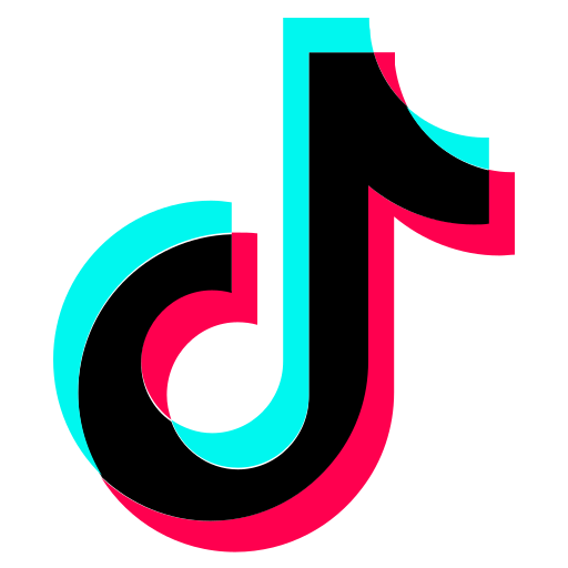 assets/images/webp/tiktok-logo.webp